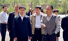 Z6�������й��ٷ���վ